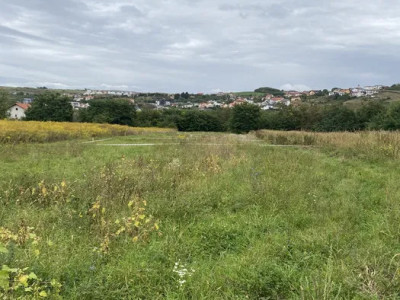 Teren cu Puz si HCL aprobat in Borhanci