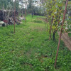 Casa individuala cu teren 625 mp Cluj thumb 4