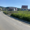 Teren intravilan cu utilitati si asfalt in Chinteni thumb 2