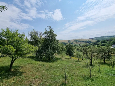 Teren intravilan in Feleacu 1575 mp 