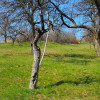 Teren intravilan in Feleacu 1575 mp  thumb 2