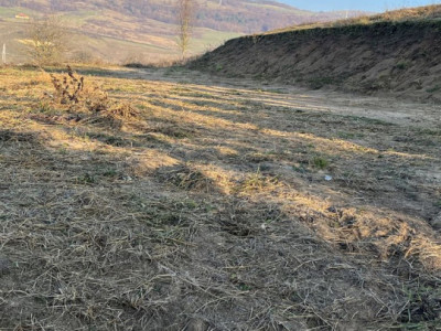Teren intravilan cu utilități Corusu