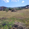 Teren 740 mp Autorizat casa Chinteni thumb 3