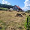 Teren 740 mp Autorizat casa Chinteni thumb 4