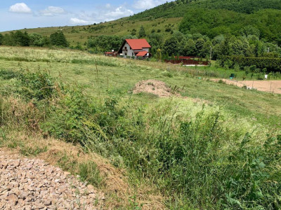 Teren intravilan parcela de colț 1230 mp Salicea 