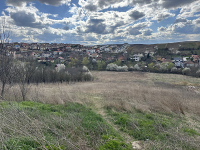 Teren intravilan zona str Trandafirilor 5800 mp