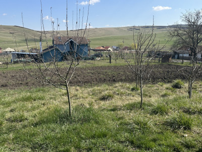 Teren construibil cu utilități 600 mp Dezmir