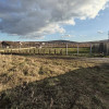 Teren intravilan 1000 mp intre  case Apahida 