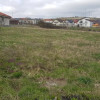 Teren intravilan 650 cu utilități Chinteni thumb 3