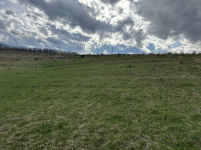 Teren intravilan 1000 mp front 23 Salicea 