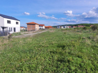 Teren 800 mp plat aerisit linga utilități Chinteni 