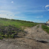 Teren 800 mp plat aerisit linga utilități Chinteni  thumb 4