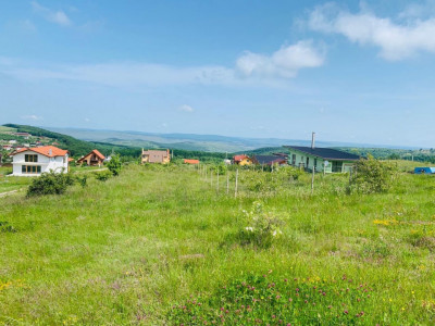 Teren intravilan 1150 front 42 m Salicea panorama 