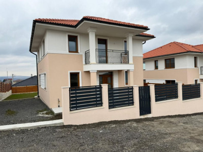 Casă cu utilități și CF linga asfalt Dezmir 