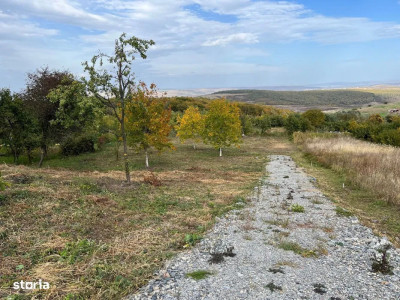 Teren intravilant 3744 mp front 29, construibil Gheorgheni 