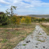 Teren intravilant 3744 mp front 29, construibil Gheorgheni 